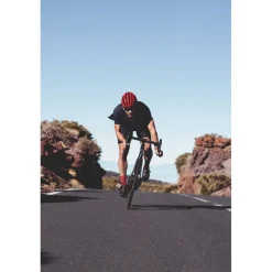 ABUS AirBreaker Helm - black gold
