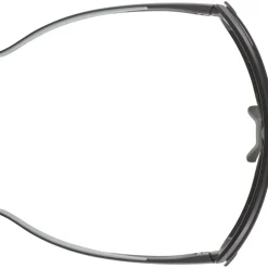 Alpina Bonfire Mag Q Bril - black-willow matt/Quattroflex pink + black