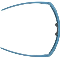 Alpina Bonfire Q-Lite Bril - smoke-blue matt/mirror gold