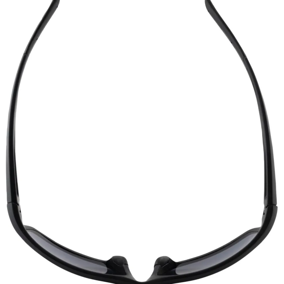 Alpina Defey Bril - black matt/black