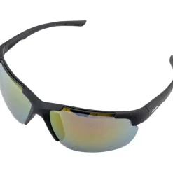 Alpina Defey HR Bril - black matt/red mirror