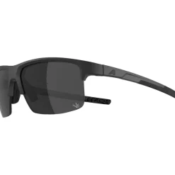 Alpina Eagle Q-Lite Brillen - black matt/silver mirror