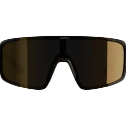 Alpina Lumin Brillen - black/gold mirror