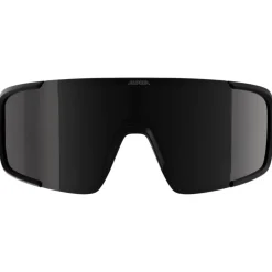 Alpina Lumin Brillen - black matt/black