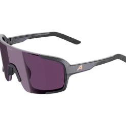 Alpina Lumin Brillen - gun-metall matt/pink