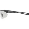 Alpina Nylos HR Bril - black-transparent matt/clear