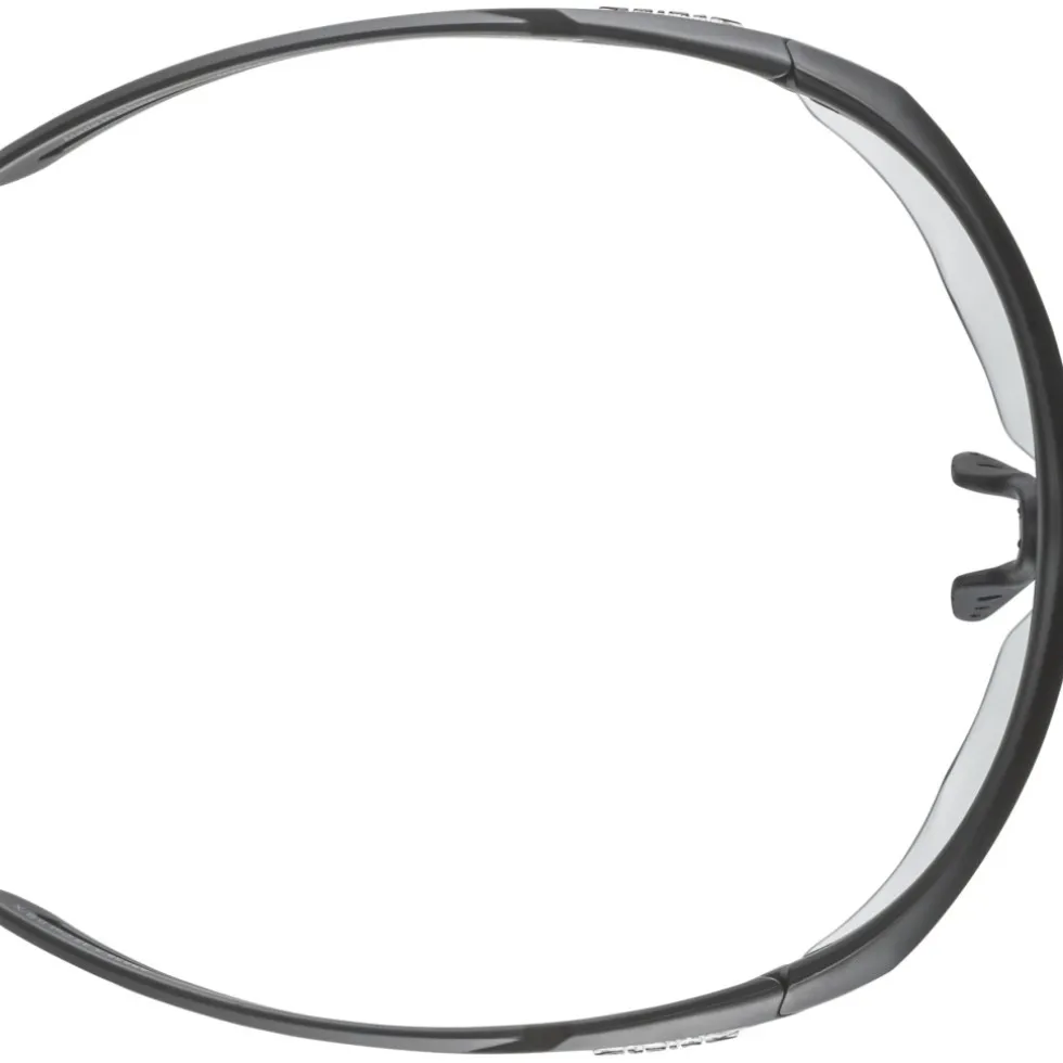 Alpina Nylos HR Bril - black-transparent matt/clear