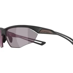 Alpina Nylos HR Brillen - gun matt/pink