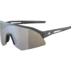 Alpina Sonic HR Q-Lite Bril - midnight-grey matt/mirror silver