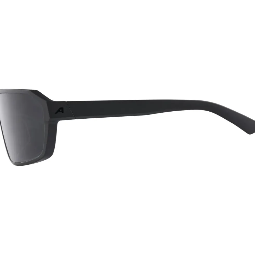 Alpina Swift Bril - black matt/smoke black