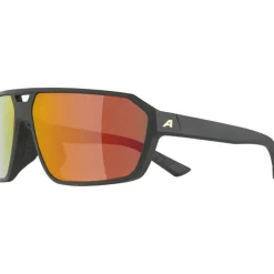 Alpina Swift Bril - black-gold matt/mirror gold