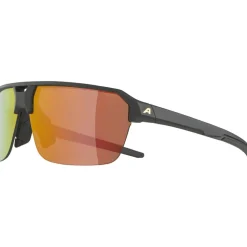 Alpina Swift HR Bril - black-gold matt/mirror gold