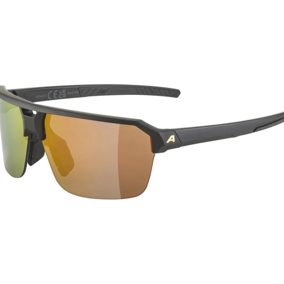 Alpina Swift HR Bril - black-gold matt/mirror gold