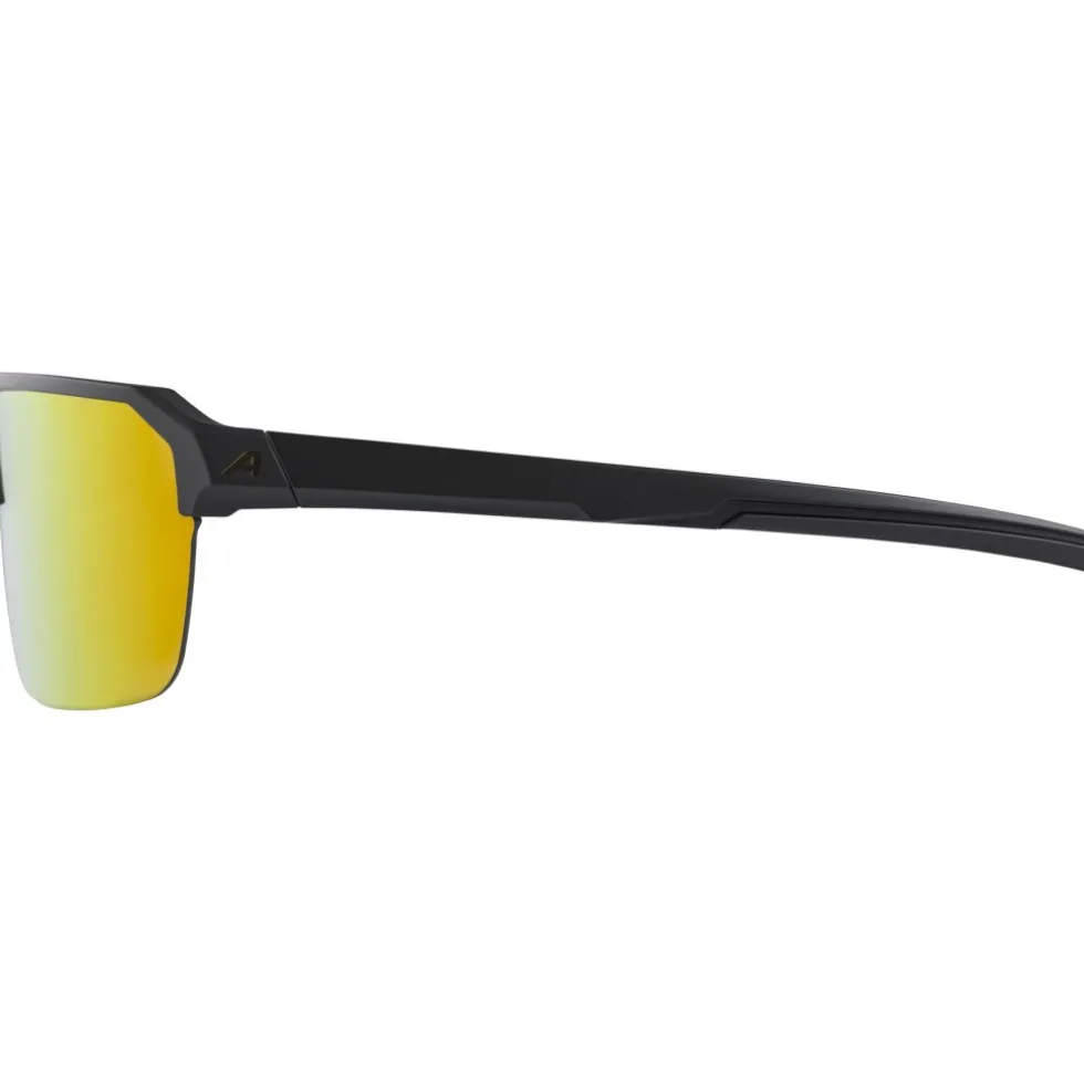 Alpina Swift HR Bril - black-gold matt/mirror gold