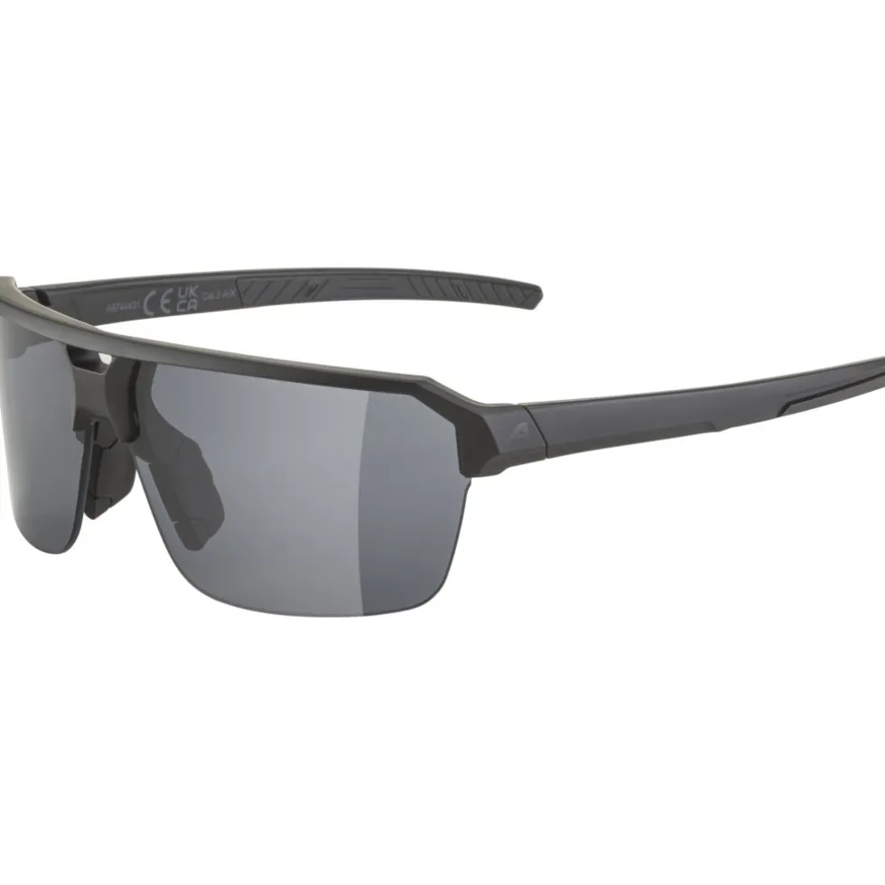 Alpina Swift HR Bril - black matt/smoke black