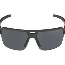 Alpina Swift HR Bril - black matt/smoke black