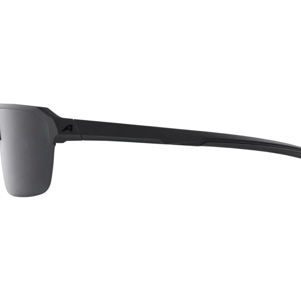 Alpina Swift HR Bril - black matt/smoke black
