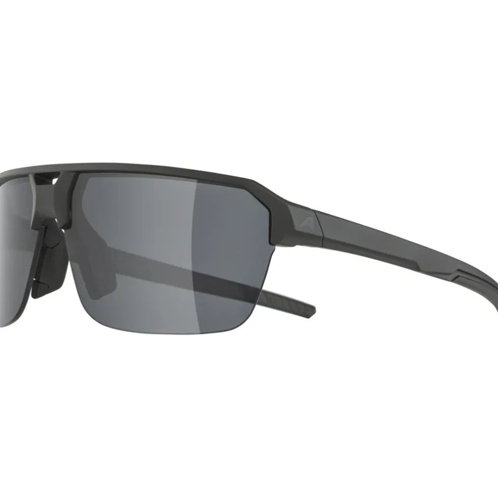Alpina Swift HR Bril - black matt/smoke black