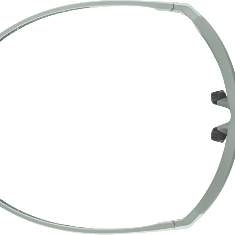 Alpina Swift HR Bril - willow-green matt/mirror gold
