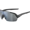 Alpina Turbo HR Bril - black matt/mirror black