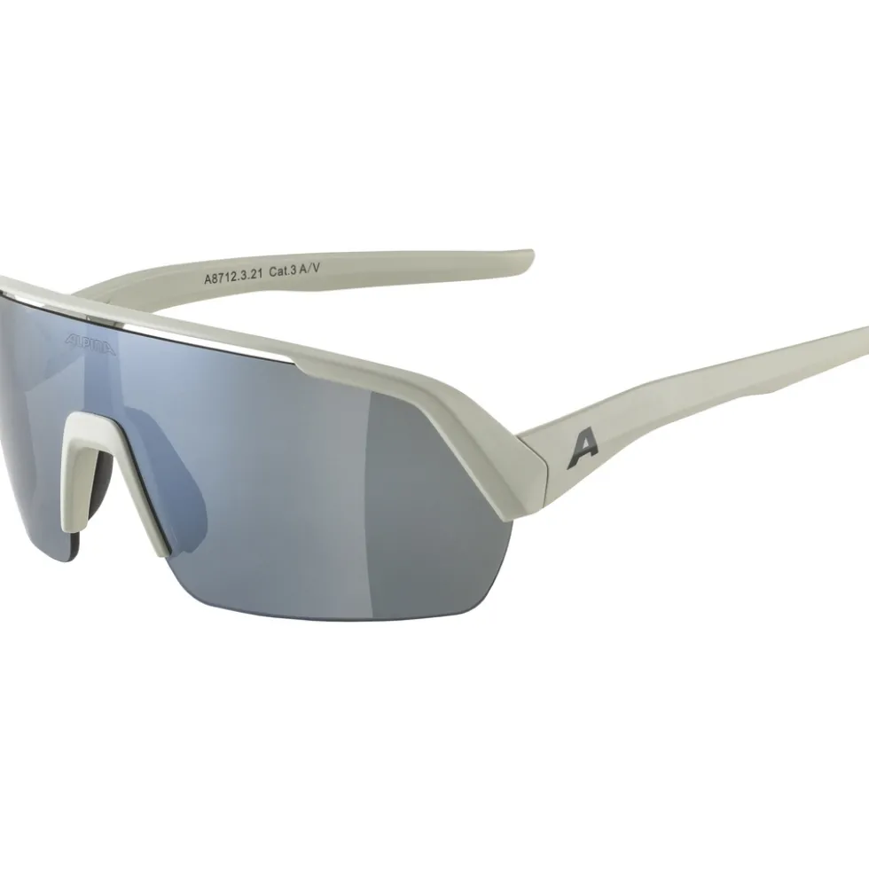 Alpina Turbo HR Bril - cool-grey matt / black mirror
