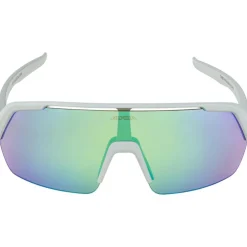 Alpina Turbo HR Bril - smoke-grey matt/mirror green