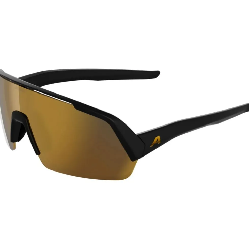 Alpina Turbo HR Brillen - black matt/gold mirror