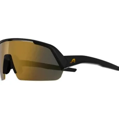 Alpina Turbo HR Brillen - black matt/gold mirror