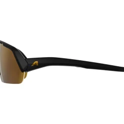 Alpina Turbo HR Brillen - black matt/gold mirror