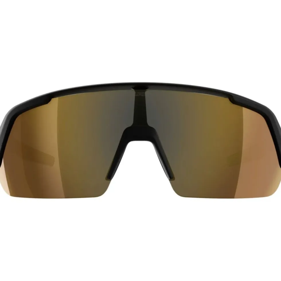 Alpina Turbo HR Brillen - black matt/gold mirror