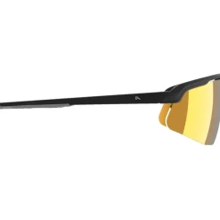 Alpina Turbo Pro Q Brillen - black matt/gold mirror
