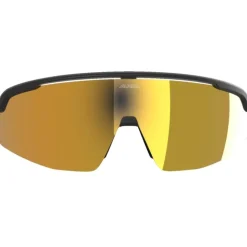 Alpina Turbo Pro Q Brillen - black matt/gold mirror