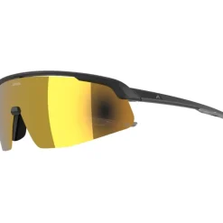 Alpina Turbo Pro Q Brillen - black matt/gold mirror