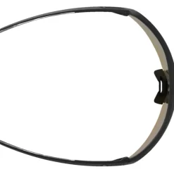 Alpina Turbo Pro Q Brillen - black matt/gold mirror