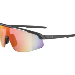 Alpina Turbo Pro Q-Lite Brillen - black matt/mirror red