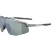 Alpina Turbo Pro Q-Lite Brillen - grey transparent/mirror silver