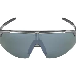 Alpina Turbo Pro Q-Lite Brillen - grey transparent/mirror silver