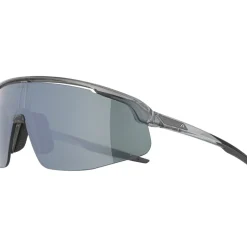 Alpina Turbo Pro Q-Lite Brillen - grey transparent/mirror silver