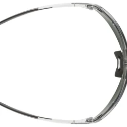 Alpina Turbo Pro Q-Lite Brillen - grey transparent/mirror silver