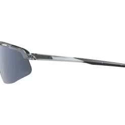 Alpina Turbo Pro Q-Lite Brillen - grey transparent/mirror silver