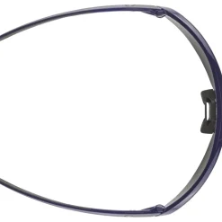 Alpina Turbo Pro Q-Lite Brillen - blue gloss/mirror blue