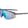 Alpina Turbo Pro Q-Lite Brillen - midnight-grey matt/mirror green