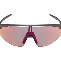 Alpina Turbo Pro QV Bril - black matt/rainbow mirror