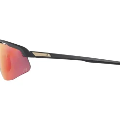 Alpina Turbo Pro QV Bril - black matt/rainbow mirror