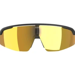 Alpina Turbo Pro S Q Brillen - black matt/gold mirror