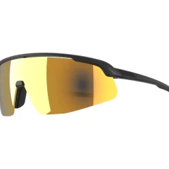 Alpina Turbo Pro S Q Brillen - black matt/gold mirror