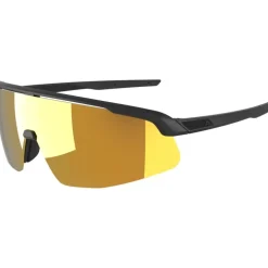 Alpina Turbo Pro S Q Brillen - black matt/gold mirror