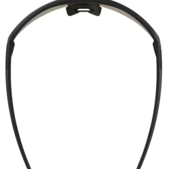 Alpina Turbo Pro S Q Brillen - black matt/gold mirror