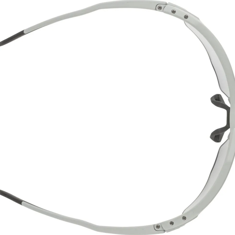 Alpina Twist Six HR V Bril - smoke-grey matt/Varioflex black
