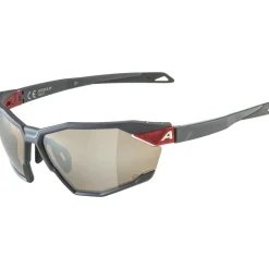 Alpina Twist Six Q Bril - midnight-grey matt/mirror silver